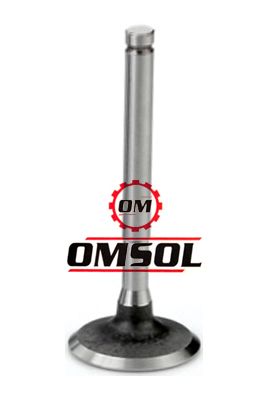 SS Engine Valve Manufacturers Rajkot Gujarat India - Omsol Brand