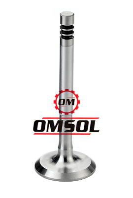 Stainless Steel Engine Valve Manufacturers - Omsol Brand